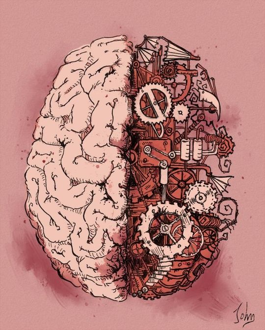 “Neuroanatomy” by Jonathan Calsolaro on INPRNT ”