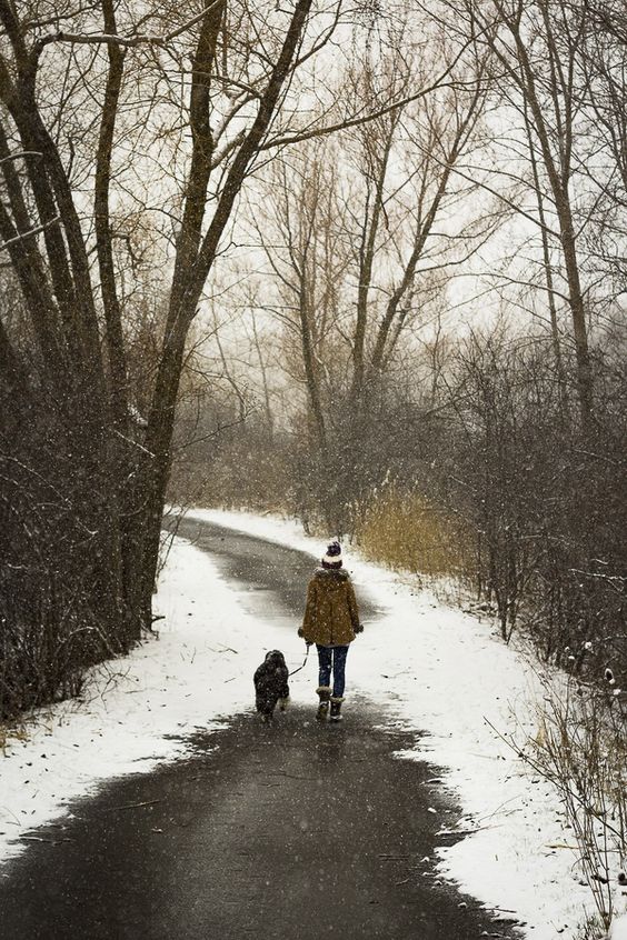 woman and dog walking on road in winter, spring snow #petphotography ©️The Right Moments Photography