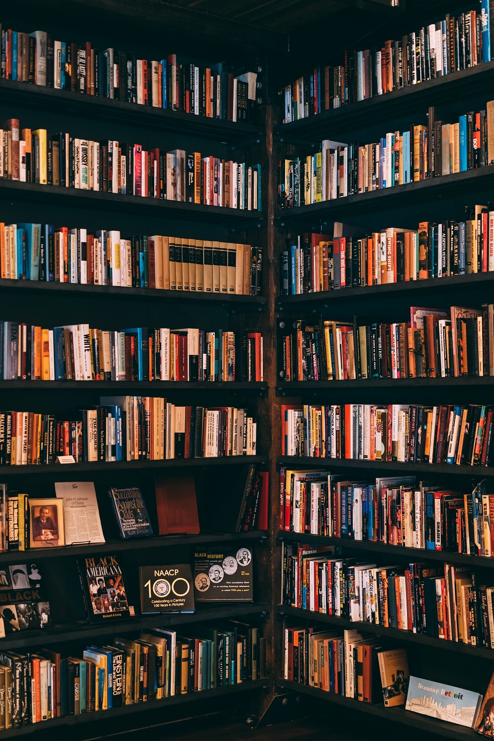 The Midnight Library Perfect Reading for Every Teenager